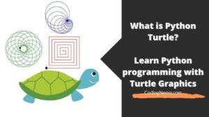 What is Python Turtle? Learn the classical programming